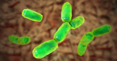 古生菌：人类微生物群和传染病中看不见的玩家