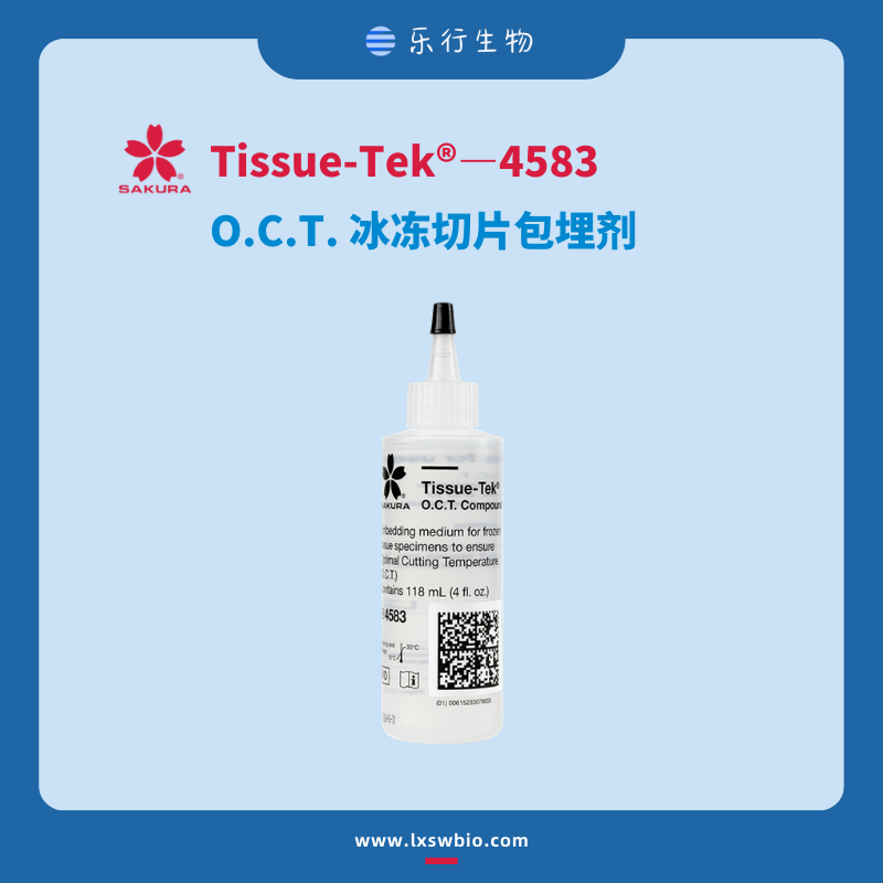 SAKURA-4583-.png