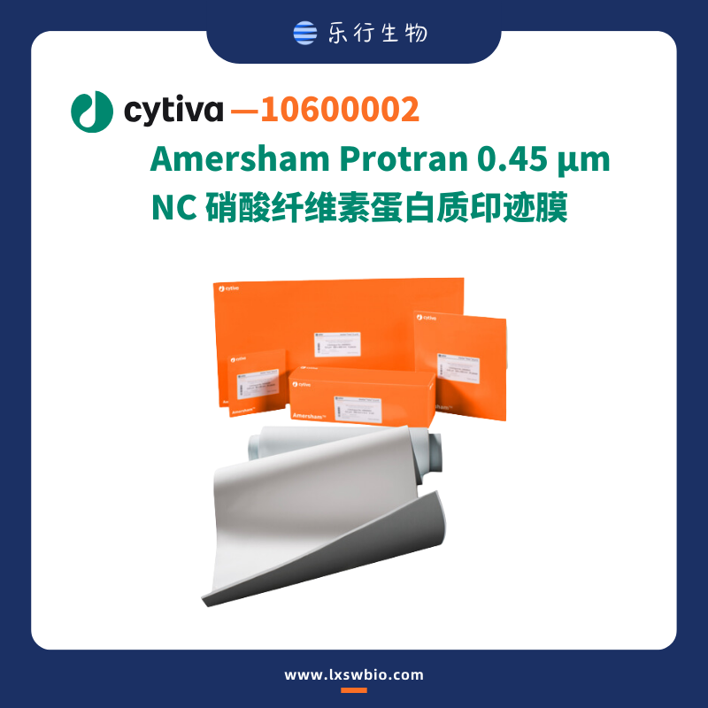 Cytiva 0.45μm NC膜 硝酸纤维素蛋白质印迹膜 | 10600002