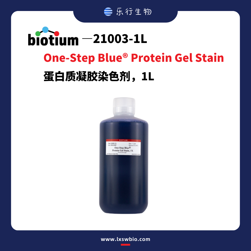 Biotium One-Step Blue 蛋白质凝胶染色剂 | 21003-1L