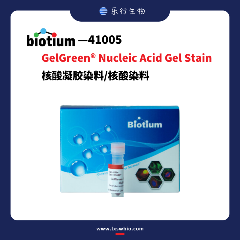 Biotium GelGreen 核酸凝胶染料/核酸染料 | 41005