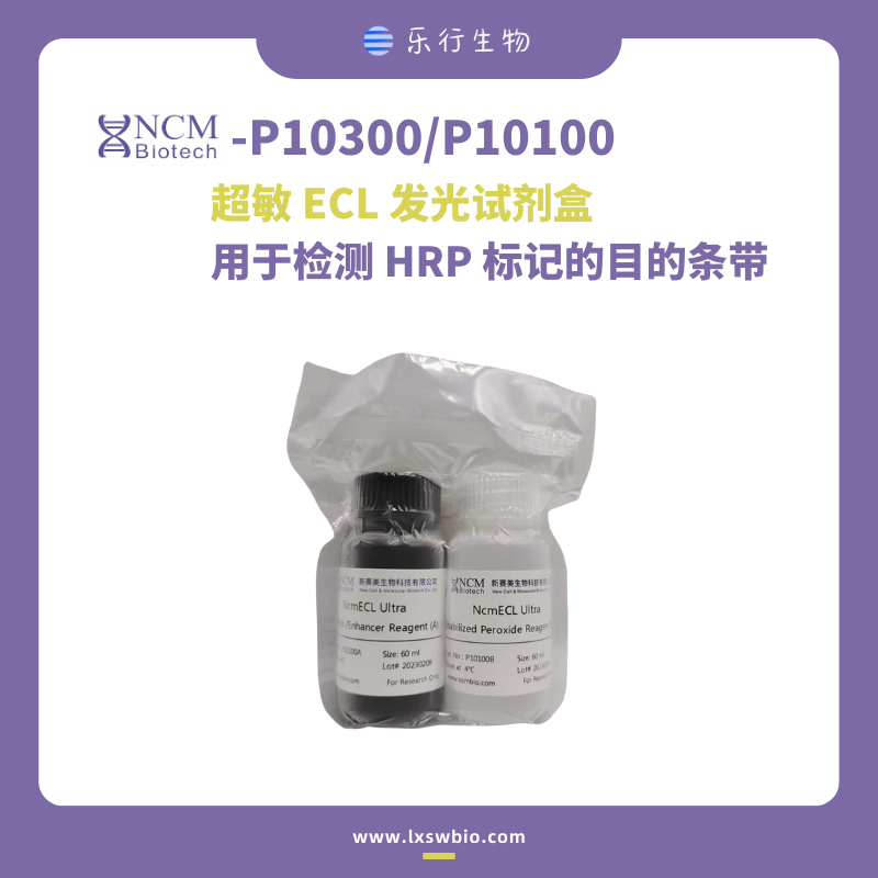 新赛美 超敏ECL化学发光试剂盒 | P10100/P10300