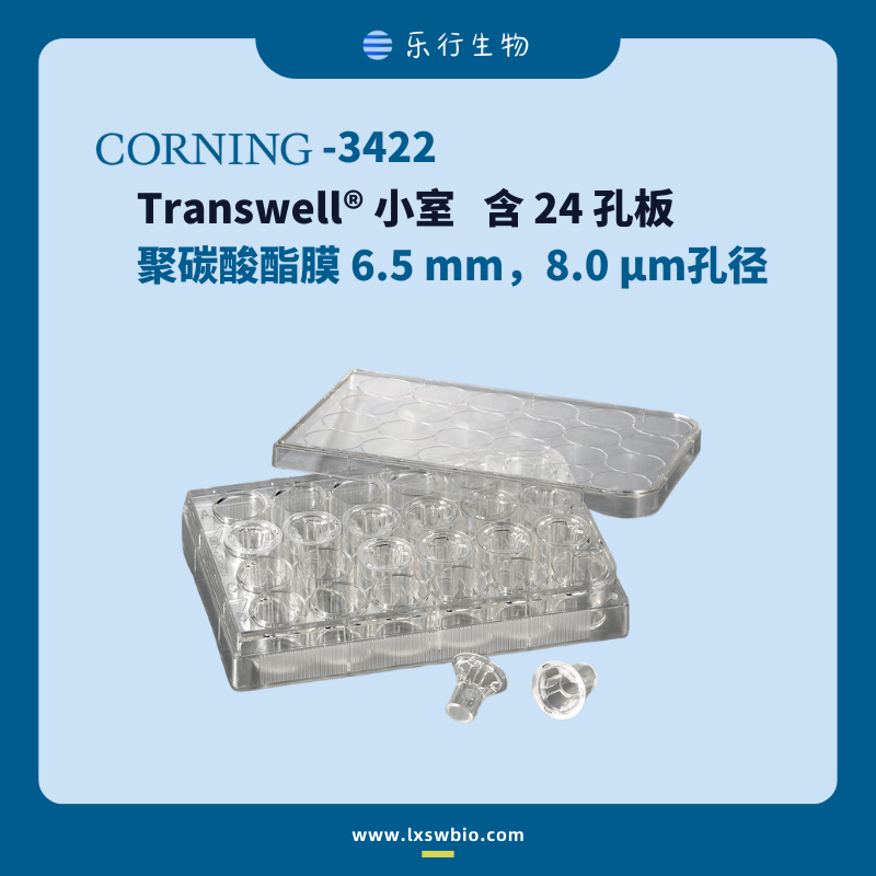 Corning 康宁 Transwell嵌套小室 含24孔板（6.5mm，3.0um) | 3415