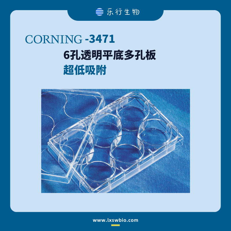 Corning 康宁 6孔超低吸附细胞培养板 | 3471