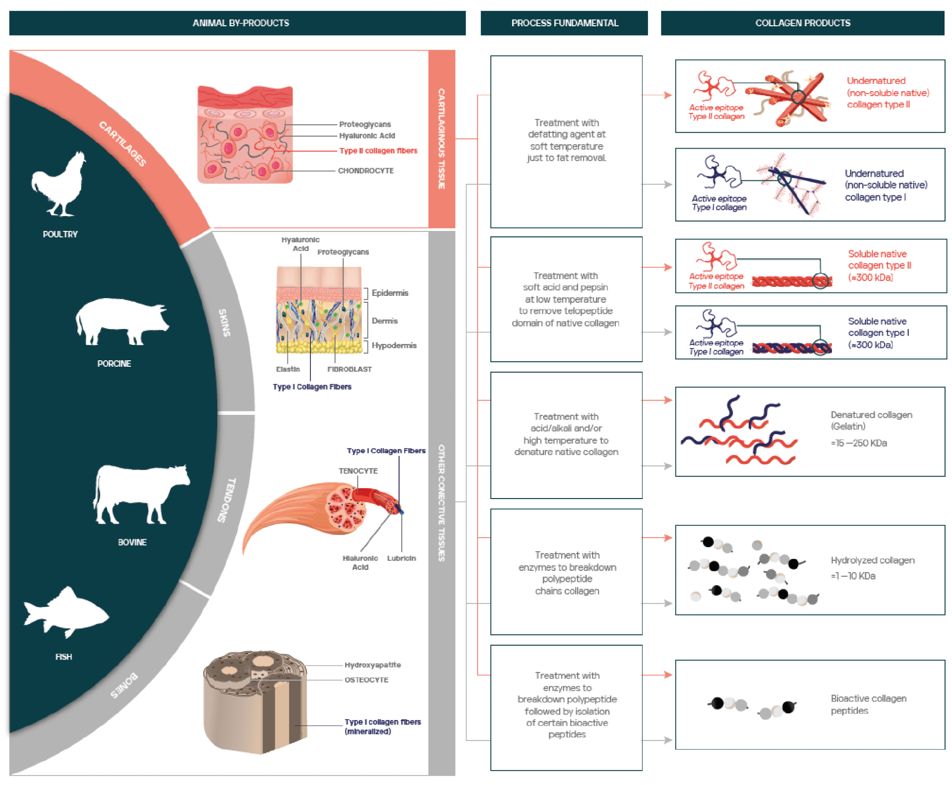 Overview of main.png