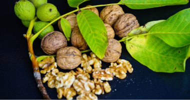 核桃生物活性物质的健康功效：  抗炎、抗氧化与免疫调节作用综述