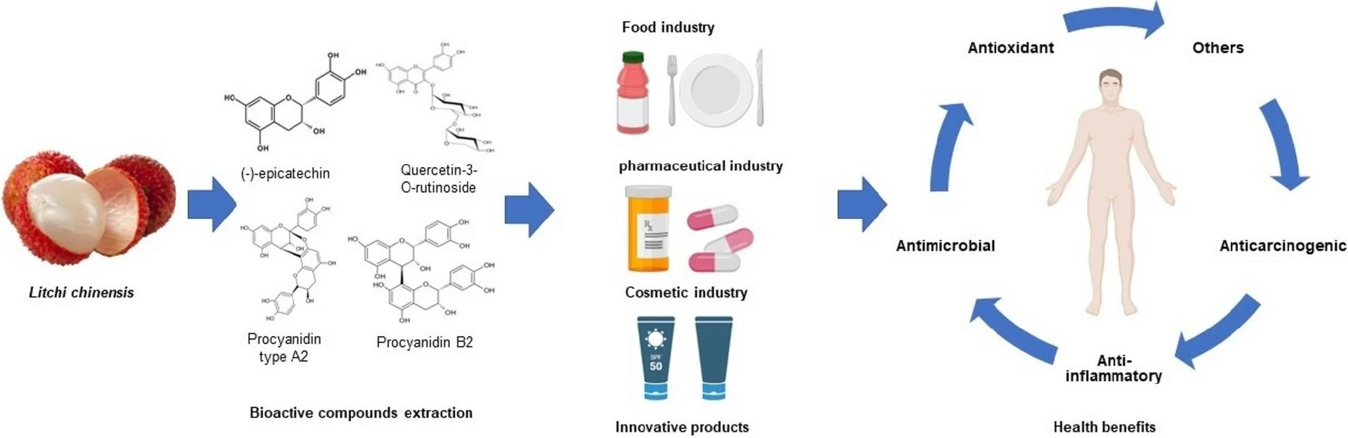 L. chinensis 中存在的生物活性化合物用于开发创新产品及其对健康的好处1.jpg